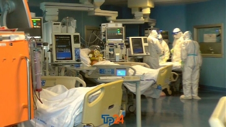 https://www.tp24.it/immagini_articoli/01-06-2026/sicilia-senza-piano-pandemico-aggiornato-panflu-fermo-al-2023-250.jpg