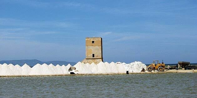 https://www.tp24.it/immagini_articoli/01-07-2026/1782916430-0-il-caso-mab-non-si-spegne-il-comitato-saline-comuni-torna-all-attacco-e-rilancia-la-battaglia.jpg