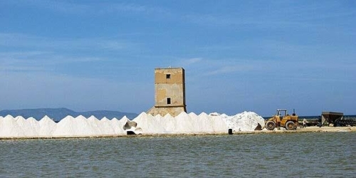 https://www.tp24.it/immagini_articoli/01-07-2026/il-caso-mab-non-si-spegne-il-comitato-saline-comuni-torna-all-attacco-e-rilancia-la-battaglia-250.jpg