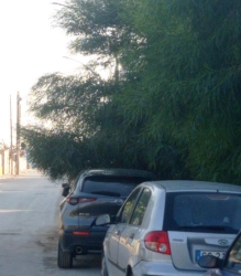 https://www.tp24.it/immagini_articoli/01-08-2026/marsala-caos-nella-strada-dei-lidi-residenti-prigionieri-tra-auto-liti-e-parcheggi-dubbi-250.jpg