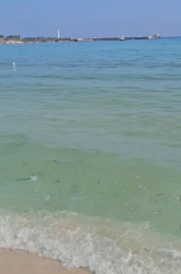 https://www.tp24.it/immagini_articoli/01-08-2026/san-vito-lo-capo-mare-sporco-e-odore-di-gasolio-bagnanti-costretti-a-uscire-dall-acqua-250.jpg