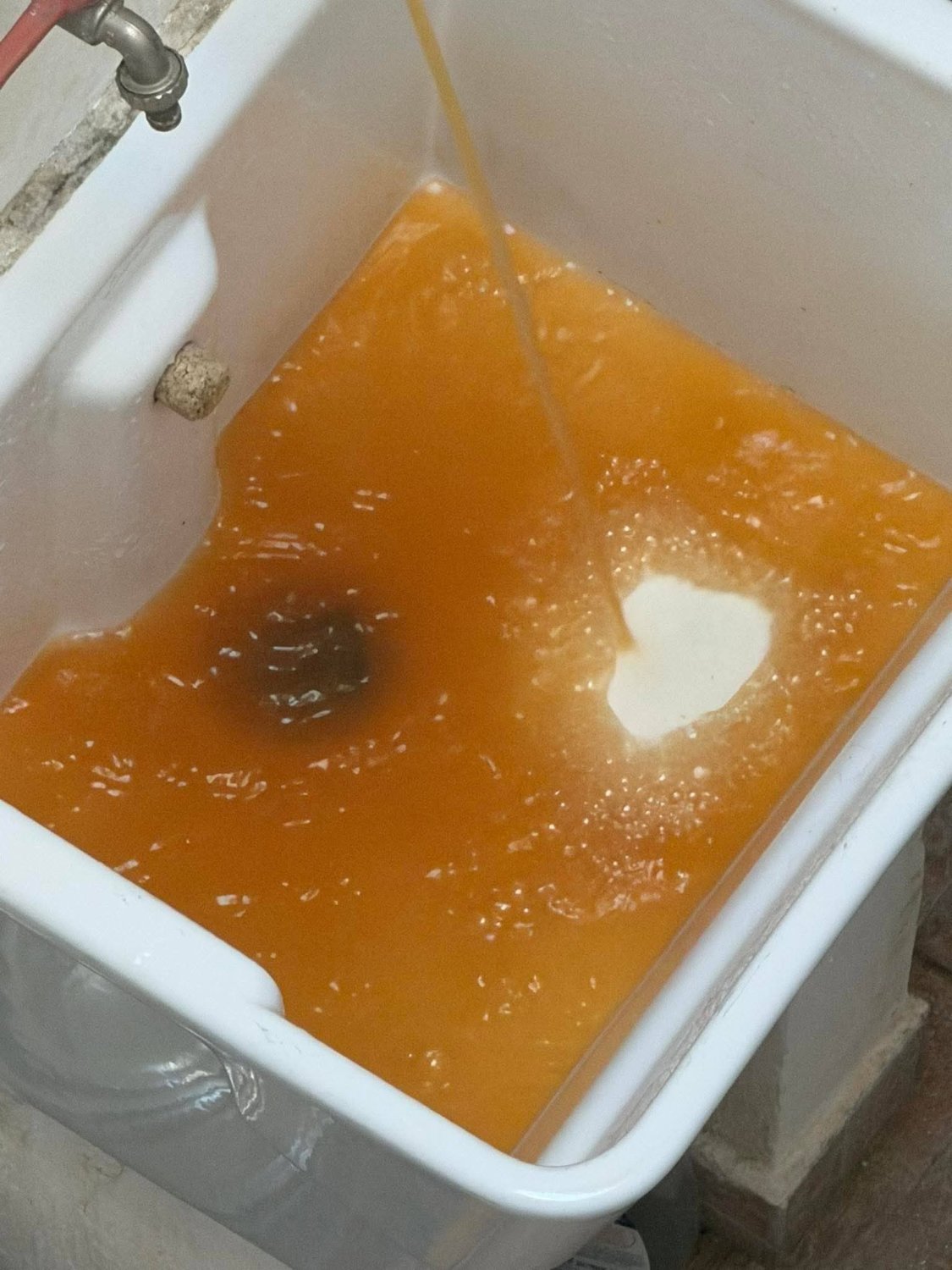 https://www.tp24.it/immagini_articoli/01-09-2026/1788249580-0-acqua-torbida-a-erice-la-sindaca-ecco-come-stiamo-intervenendo.jpg