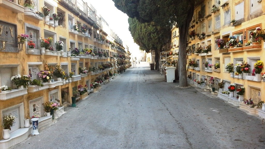 https://www.tp24.it/immagini_articoli/01-09-2026/1788285489-0-marsala-nuovo-caso-al-cimitero-la-foto-di-un-defunto-lasciata-per-terra.jpg