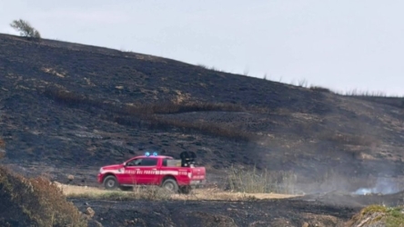 https://www.tp24.it/immagini_articoli/01-09-2026/incendi-tra-palermo-e-trapani-cisl-ogni-anno-lo-stesso-bollettino-di-guerra-250.jpg