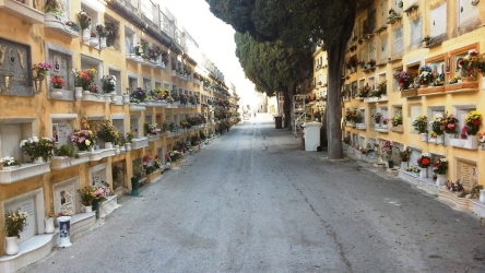 https://www.tp24.it/immagini_articoli/01-09-2026/marsala-nuovo-caso-al-cimitero-la-foto-di-un-defunto-lasciata-per-terra-250.jpg