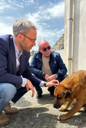 https://www.tp24.it/immagini_articoli/02-05-2026/alcamo-il-sindaco-surdi-firma-l-ordinanza-per-la-reimmissione-di-nocciolina-250.jpg