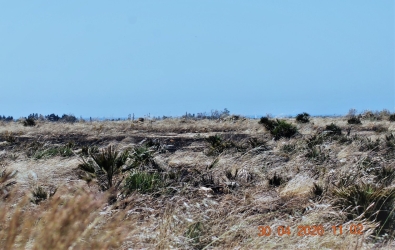 https://www.tp24.it/immagini_articoli/02-05-2026/le-sciare-del-mazarese-in-fiamme-250.jpg