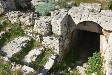 https://www.tp24.it/immagini_articoli/02-05-2026/selinunte-il-3-maggio-ingresso-gratis-e-visite-alle-mura-dell-acropoli-250.jpg