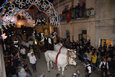 https://www.tp24.it/immagini_articoli/02-05-2026/un-ramoscello-d-ulivo-innun-fucile-apre-la-festa-del-santissimo-crocifisso-di-calatafimi-250.jpg