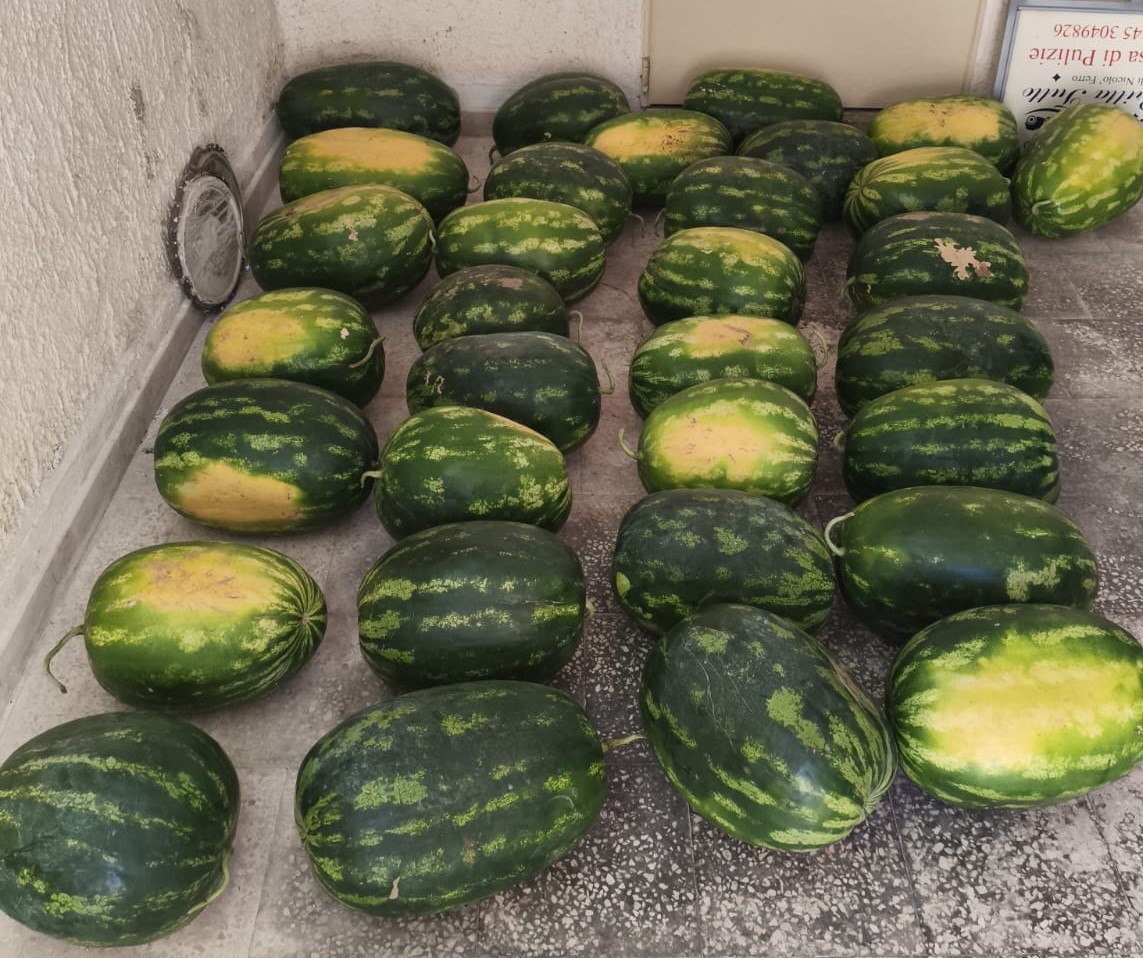 https://www.tp24.it/immagini_articoli/02-06-2025/1748845532-0-mazara-sequestrati-800-kg-di-angurie-vendute-abusivamente.jpg