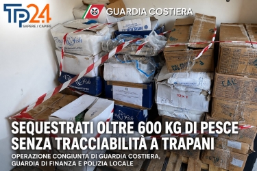 https://www.tp24.it/immagini_articoli/02-07-2026/seicento-chili-di-pesce-senza-tracciabilita-sequestrati-a-trapani-multe-per-4-mila-euro-250.jpg