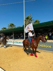 https://www.tp24.it/immagini_articoli/02-07-2026/si-e-conclusa-la-segesta-horse-cup-com-e-andata-250.jpg