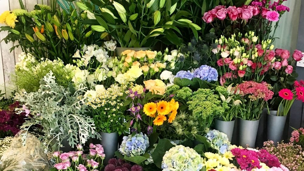 https://www.tp24.it/immagini_articoli/02-08-2026/1785684782-0-in-sicilia-istituita-la-figura-del-flower-designer.jpg