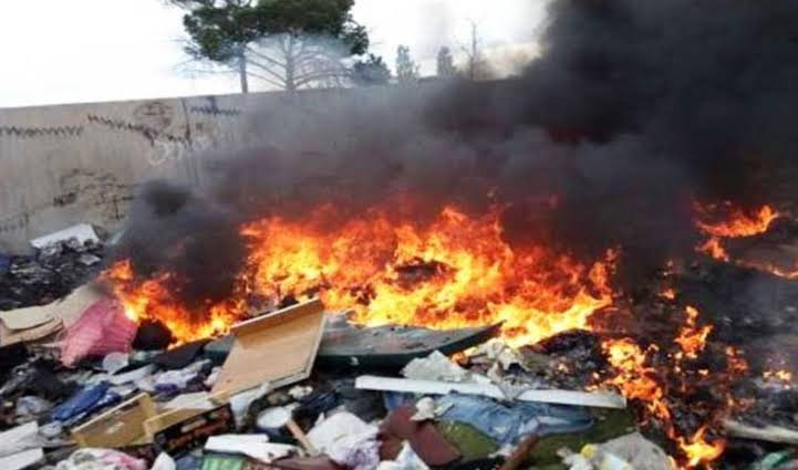 https://www.tp24.it/immagini_articoli/02-10-2026/1790927778-0-ecomafia-la-sicilia-e-seconda-in-italia-prima-per-incendi-reati-contro-animali-e-patrimonio-archeologico.jpg