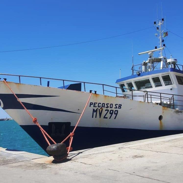 https://www.tp24.it/immagini_articoli/02-10-2026/1790956932-0-pesca-costiera-sono-14-i-piani-di-gestione-locale-ecco-quali-quelli-del-trapanese.jpg