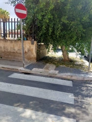 https://www.tp24.it/immagini_articoli/02-10-2026/marsala-in-via-verdi-gli-alberi-non-potati-costringono-genitori-e-alunni-a-camminare-in-strada-250.jpg