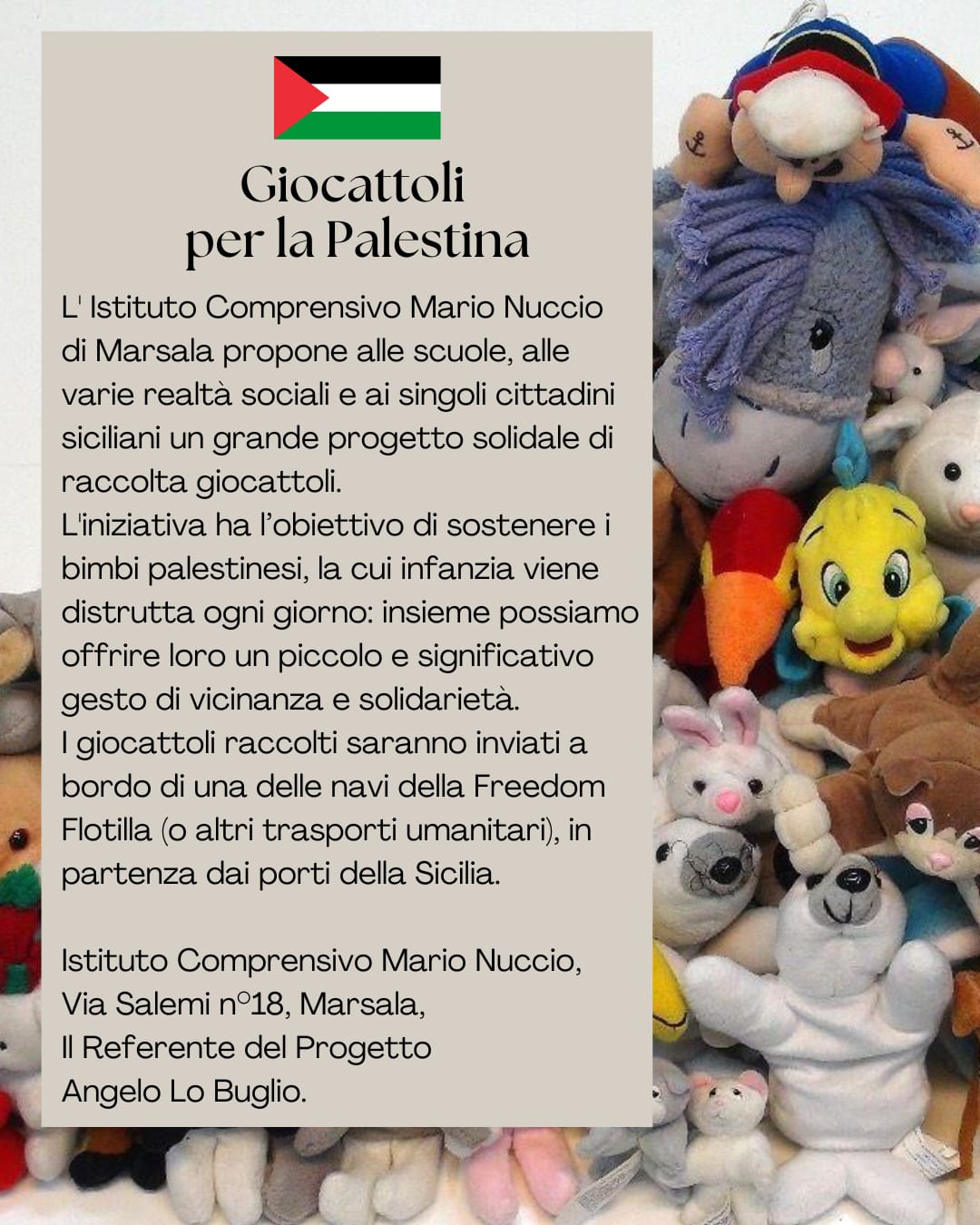 https://www.tp24.it/immagini_articoli/02-11-2025/1762096528-0-marsala-l-istituto-mario-nuccio-raccoglie-giocattoli-per-i-bambini-di-gaza.jpg