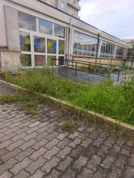 https://www.tp24.it/immagini_articoli/03-04-2026/paceco-scuole-tra-erbacce-e-degrado-250.jpg