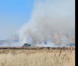 https://www.tp24.it/immagini_articoli/03-06-2026/1780470135-0-san-vito-lo-capo-incendio-a-baia-santa-margherita-fiamme-vicino-alle-case.jpg