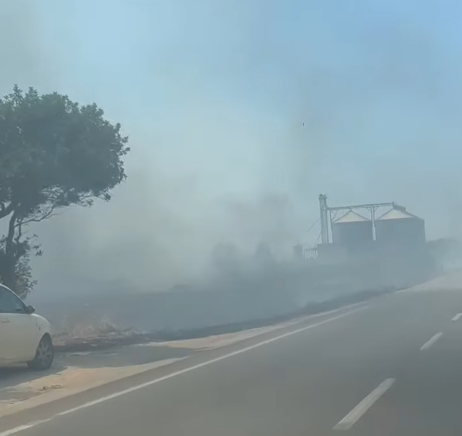 https://www.tp24.it/immagini_articoli/03-07-2025/1751548888-0-mazara-vasto-incendio-nei-terreni-adiacenti-alla-strada-statale-115-il-video.png