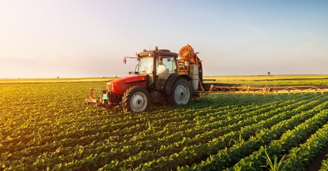 https://www.tp24.it/immagini_articoli/03-07-2026/agricoltura-il-pd-di-trapani-incoerena-politica-sulla-pelle-degli-agricoltori-250.jpg