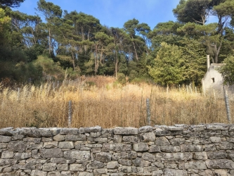 https://www.tp24.it/immagini_articoli/03-07-2026/alcamo-monitoraggio-civico-sul-monte-bonifato-400mila-euro-di-fondi-pubblici-ma-tante-criticita-250.jpg