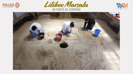 https://www.tp24.it/immagini_articoli/03-07-2026/le-tessere-del-tempo-i-mosaici-che-raccontano-lilibeo-250.jpg