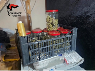 https://www.tp24.it/immagini_articoli/03-08-2026/trapani-in-casa-marijuana-e-materiale-per-la-coltivazione-arrestato-un-uomo-250.jpg