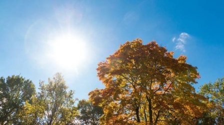 https://www.tp24.it/immagini_articoli/03-10-2026/meteo-sicilia-oggi-3-ottobre-sole-a-trapani-e-marsala-26-gradi-qualche-rovescio-nell-interno-250.jpg