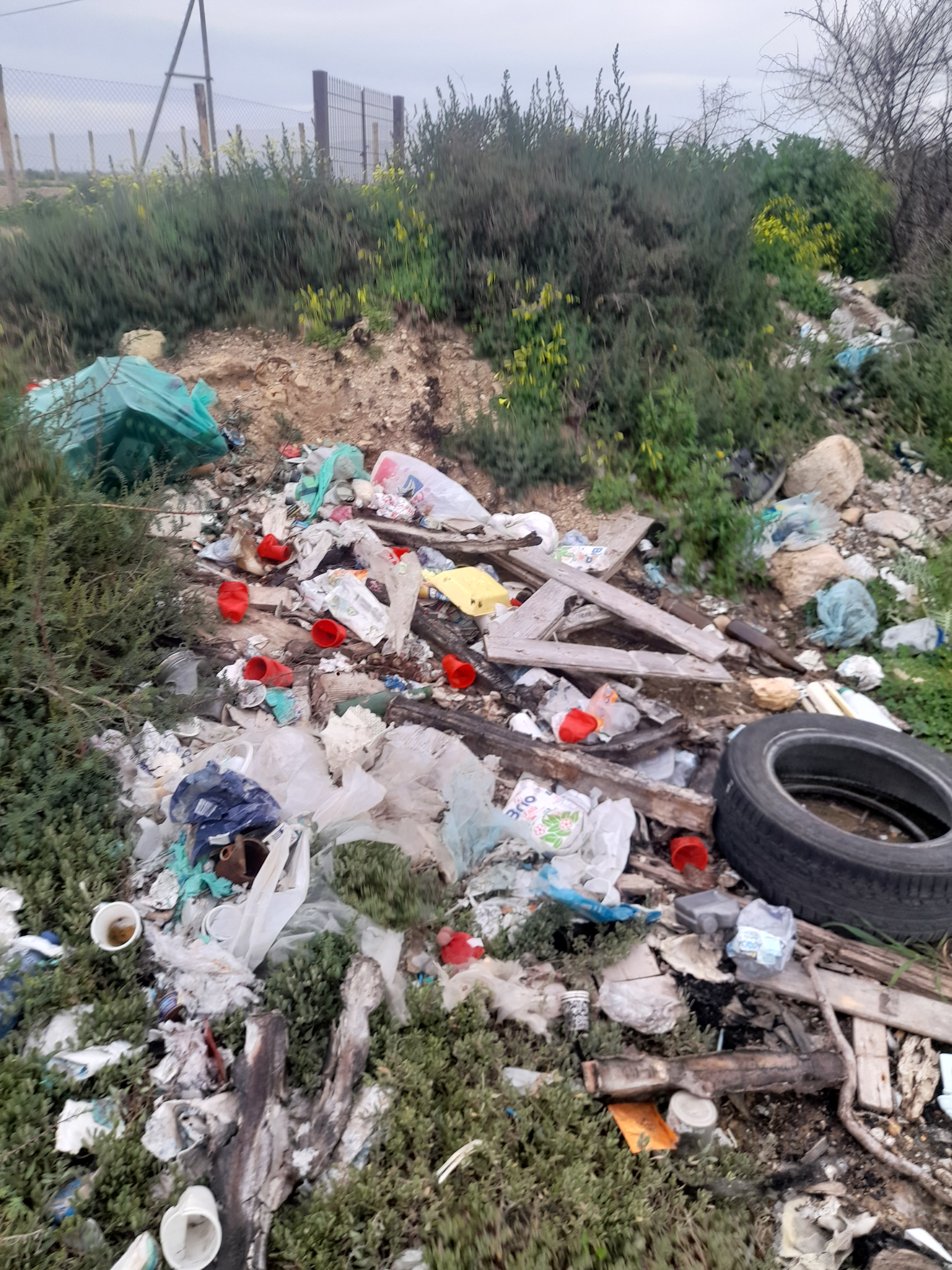 https://www.tp24.it/immagini_articoli/04-03-2025/1741084931-0-la-vergogna-continua-rifiuti-e-micro-discariche-alla-riserva-dello-stagnone.jpg