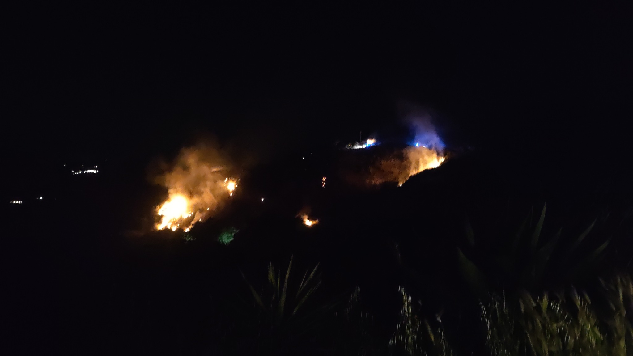 https://www.tp24.it/immagini_articoli/04-05-2025/1746341003-0-incendi-e-caldo-fuori-stagione-fiamme-a-pantelleria-e-calatafimi.jpg