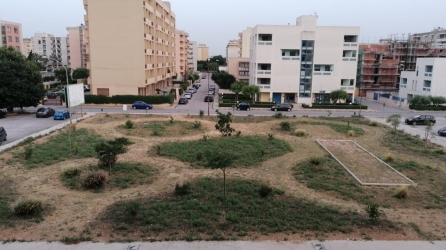 https://www.tp24.it/immagini_articoli/04-05-2026/villa-rosina-nord-si-inaugura-mercoledi-il-pannello-dedicato-a-rita-atria-250.jpg