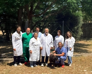 https://www.tp24.it/immagini_articoli/04-06-2026/l-asp-trapani-lancia-la-campagna-contro-l-abbandono-degli-animali-da-compagnia-250.jpg