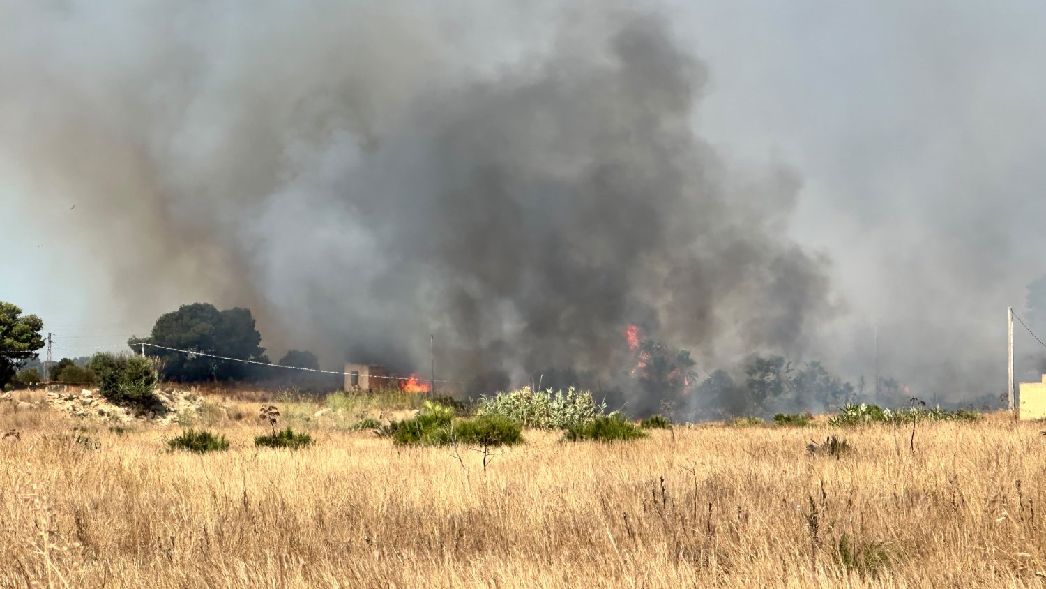 https://www.tp24.it/immagini_articoli/04-08-2026/1785848275-0-marsala-brucia-vasto-incendio-tra-ciavolo-e-scacciaiazzo.jpg