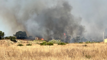 https://www.tp24.it/immagini_articoli/04-08-2026/marsala-brucia-vasto-incendio-tra-ciavolo-e-scacciaiazzo-250.jpg
