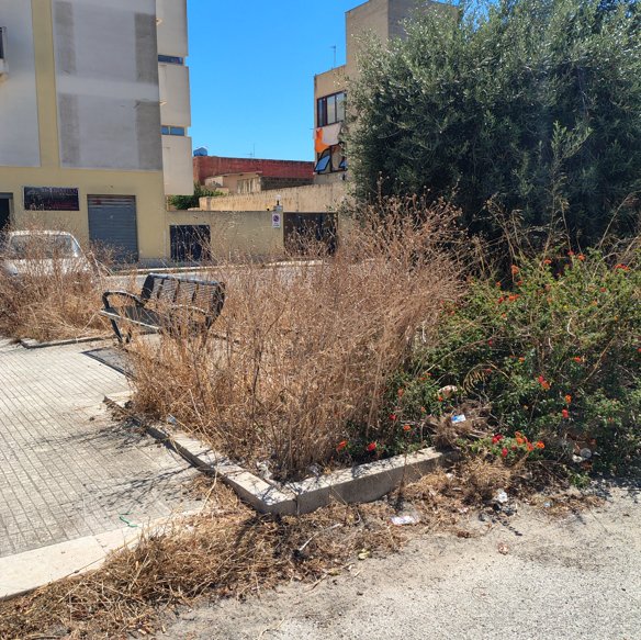https://www.tp24.it/immagini_articoli/04-09-2026/1788508271-0-marsala-ancora-nessuna-pulizia-nella-piazzetta-tra-via-saffi-e-via-oberdan.jpg