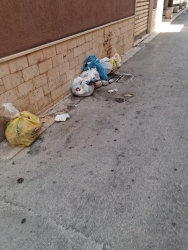 https://www.tp24.it/immagini_articoli/04-09-2026/marsala-nessuno-toglie-i-rifiuti-da-via-san-vito-segnalati-con-l-app-municipium-250.jpg