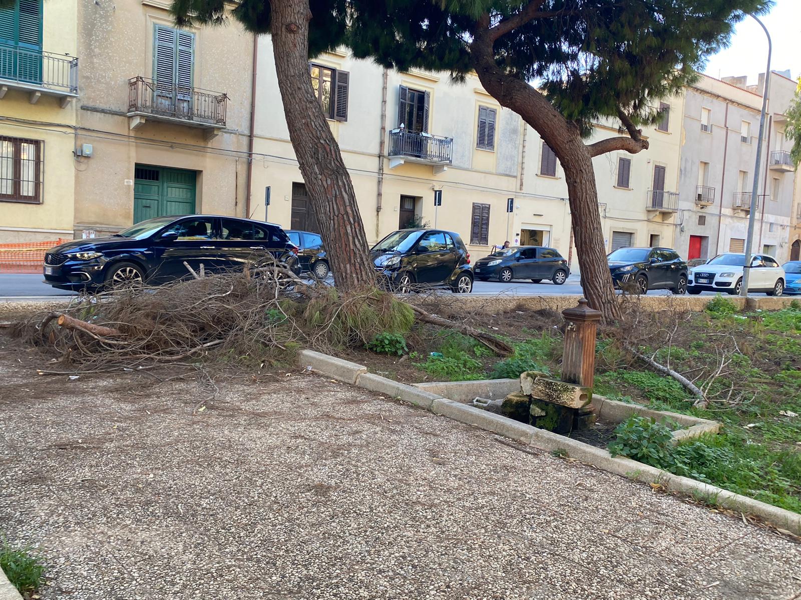 https://www.tp24.it/immagini_articoli/04-11-2025/1762282794-0-le-piazze-desolate-e-il-verde-trascurato-a-marsala.jpg