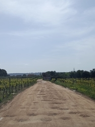 https://www.tp24.it/immagini_articoli/05-07-2026/marsala-strada-chiusa-da-oggi-in-contrada-spagnola-250.jpg