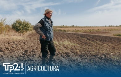 https://www.tp24.it/immagini_articoli/05-09-2026/agricoltura-37-milioni-di-anticipi-pac-alle-aziende-siciliane-250.jpg