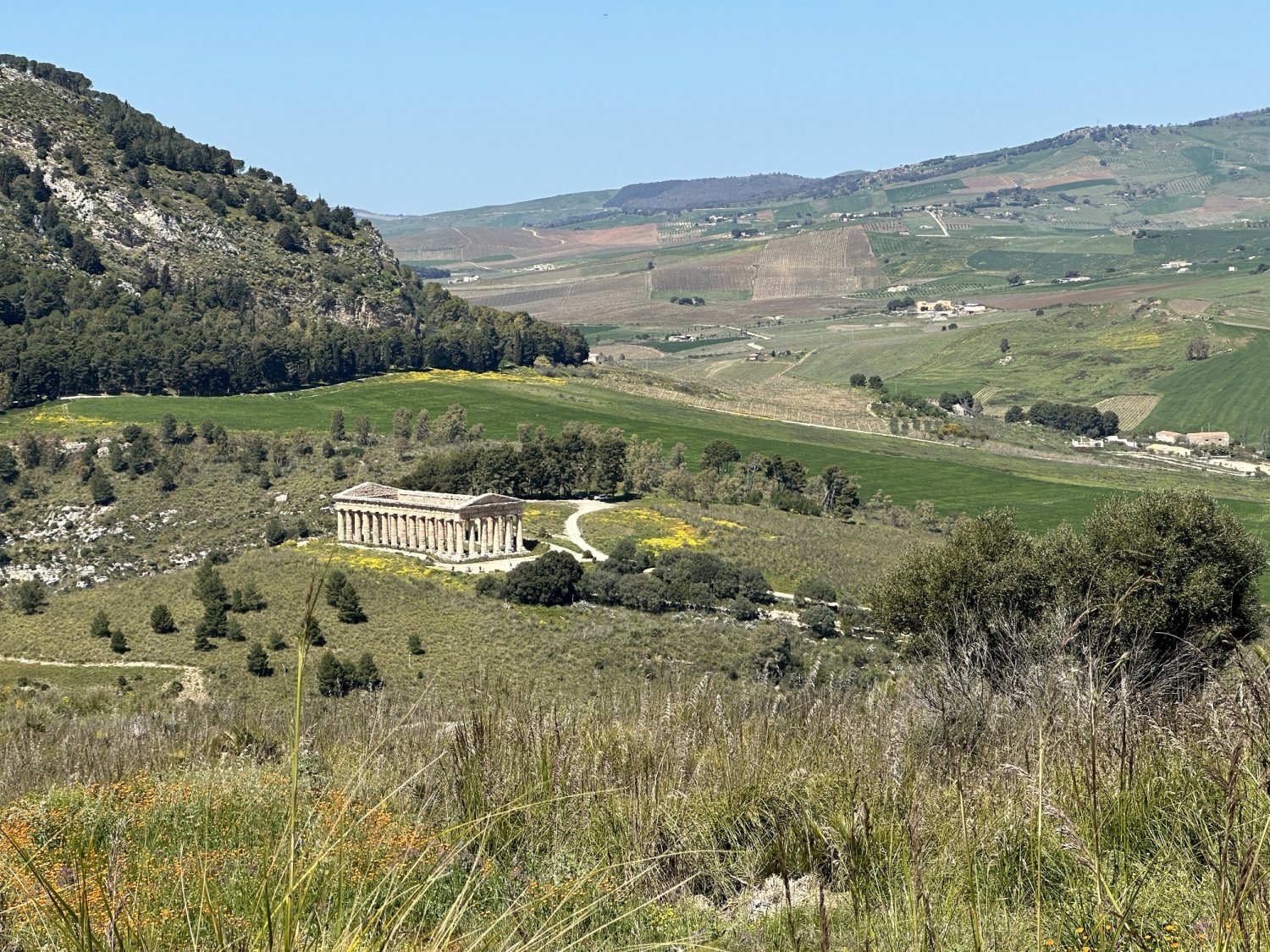 https://www.tp24.it/immagini_articoli/06-03-2026/1772800047-0-segesta-due-giornate-speciali-al-parco-ingressi-gratuiti-e-iniziative-per-il-pubblico.jpg