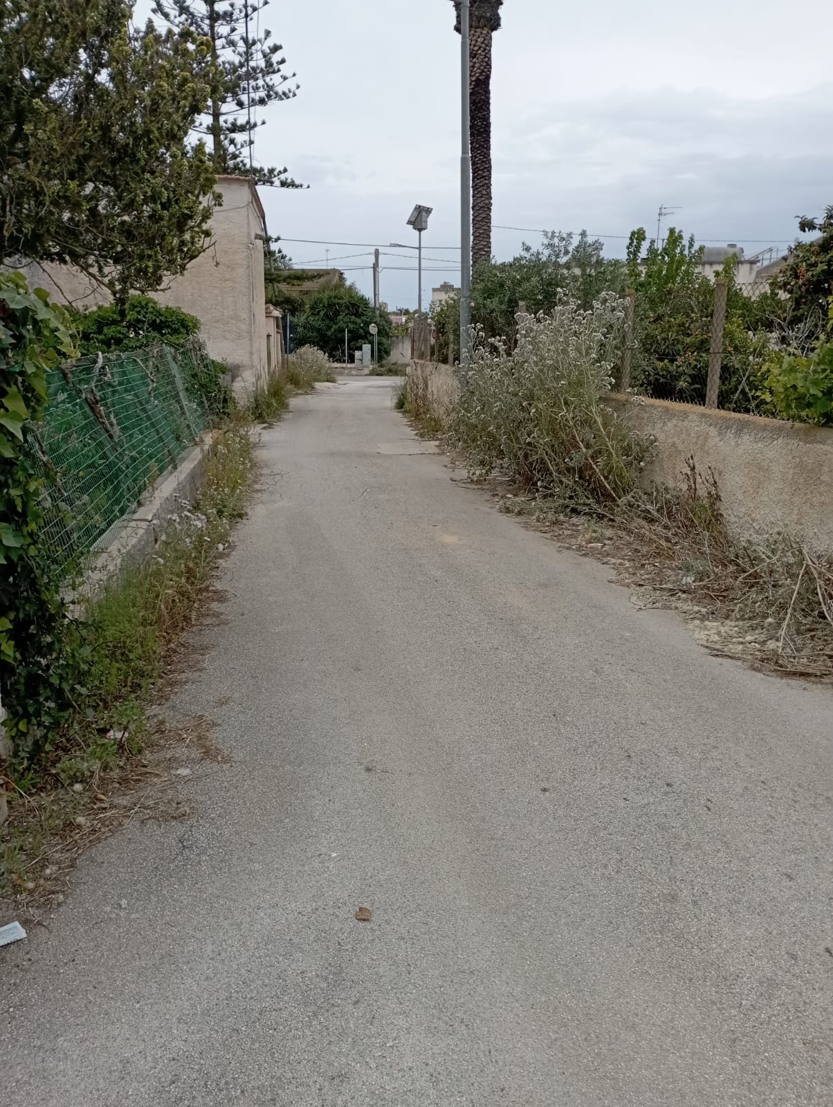 https://www.tp24.it/immagini_articoli/06-05-2025/1746549095-0-marsala-la-strada-tra-la-via-bue-morto-e-la-via-mazara-al-buio-e-abbandonata-da-anni.jpg