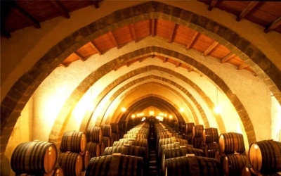 https://www.tp24.it/immagini_articoli/06-05-2026/marsala-l-appello-del-mondo-del-vino-e-la-risposta-dei-candidati-250.jpg