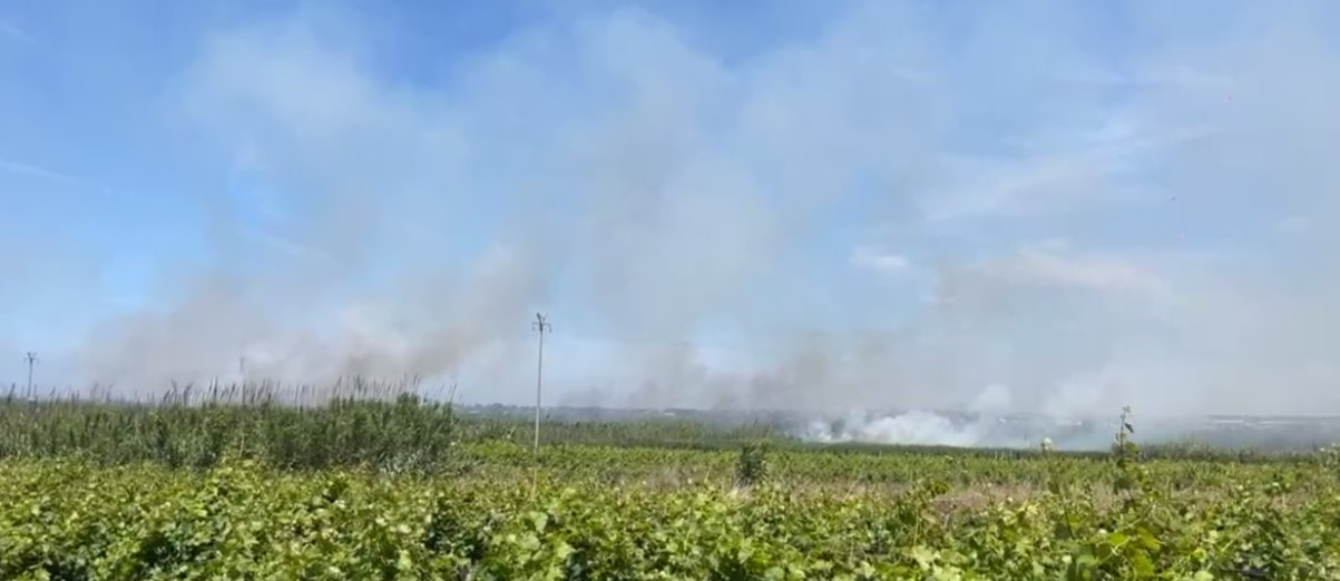 https://www.tp24.it/immagini_articoli/06-06-2026/1780753838-0-vasto-incendio-a-petrosino-vicino-alla-zona-del-depuratore.jpg