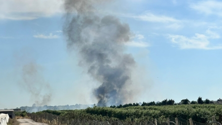https://www.tp24.it/immagini_articoli/06-06-2026/marsala-vasto-incendio-dietro-l-ospedale-paolo-borsellino-e-nella-zona-dello-stagnone-250.jpg