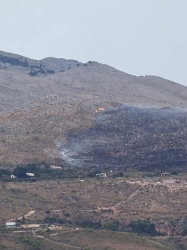 https://www.tp24.it/immagini_articoli/06-10-2026/castellammare-incendio-tra-visicari-e-scopello-bruciati-circa-20-ettari-250.jpg