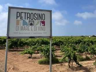 https://www.tp24.it/immagini_articoli/06-10-2026/petrosino-verso-il-voto-due-anastasi-e-nuove-alleanze-in-campo-250.jpg