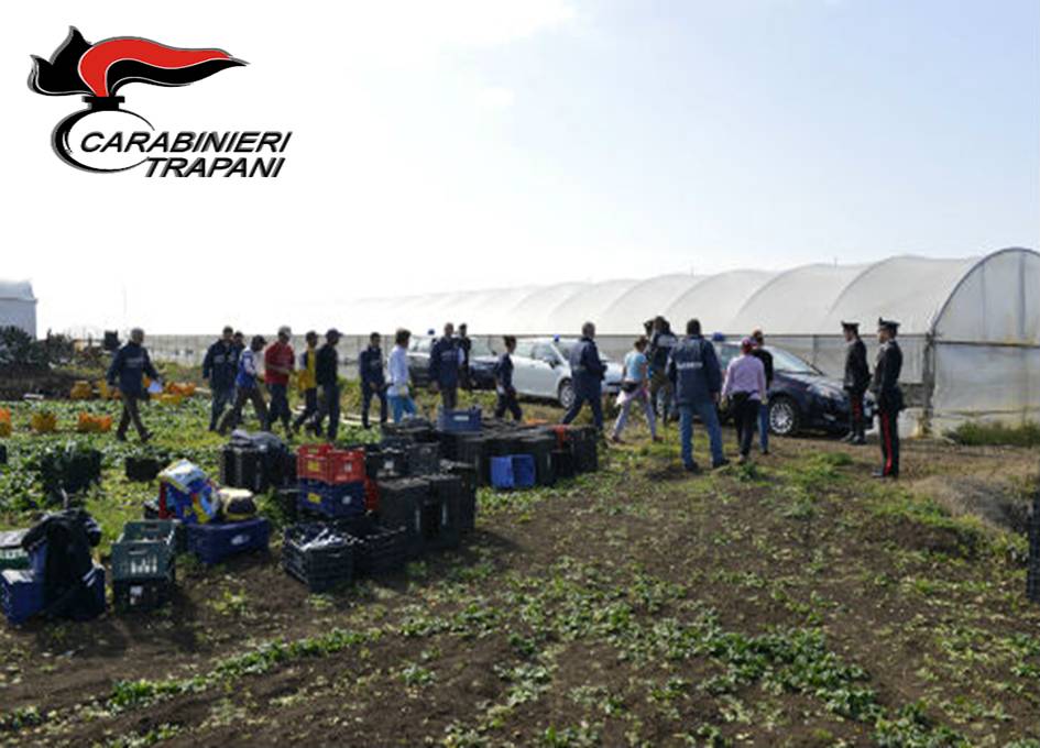 https://www.tp24.it/immagini_articoli/06-11-2025/1762424941-0-salemi-scoperti-quattro-lavoratori-stagionali-irregolari-denunciati-dai-carabinieri.jpg