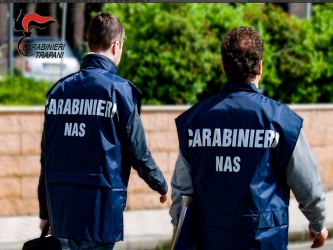 https://www.tp24.it/immagini_articoli/07-05-2026/lavoro-nero-e-irregolarita-sanitarie-sospeso-dai-nas-un-ristorante-del-trapanese-250.jpg