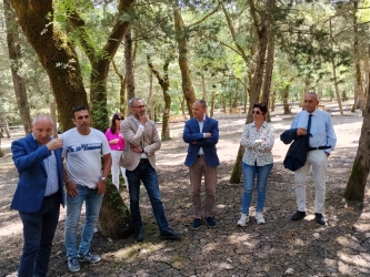 https://www.tp24.it/immagini_articoli/07-06-2026/bosco-d-alcamo-e-funtanazza-quinci-serve-una-strategia-condivisa-per-rilanciare-la-riserva-250.jpg